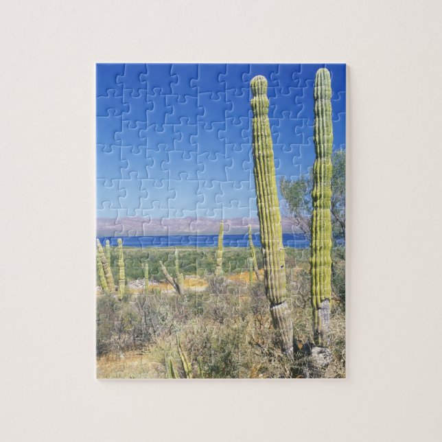 Mexico, Baja California Sur, Mulege, Bahia Jigsaw Puzzle (Vertical)