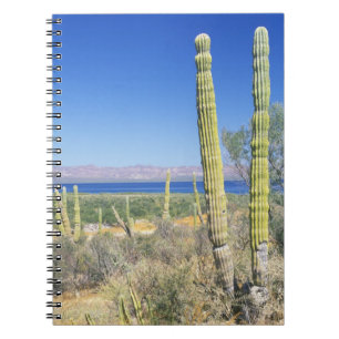 Mexico, Baja California Sur, Mulege, Bahia Notebook