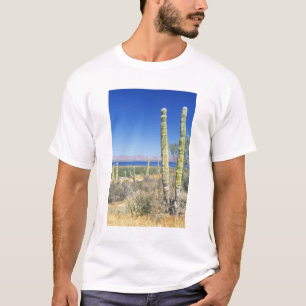 Mexico, Baja California Sur, Mulege, Bahia T-Shirt