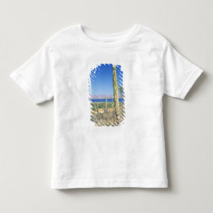 Mexico, Baja California Sur, Mulege, Bahia Toddler T-Shirt