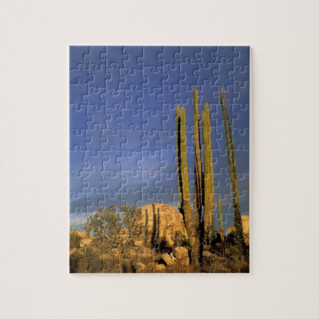Mexico, Baja del Norte, Catavina Desert National Jigsaw Puzzle (Vertical)