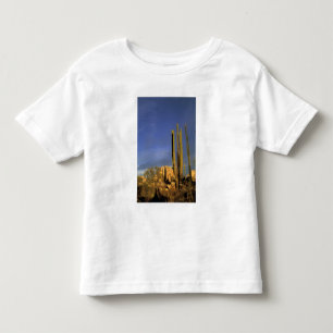 Mexico, Baja del Norte, Catavina Desert National Toddler T-Shirt