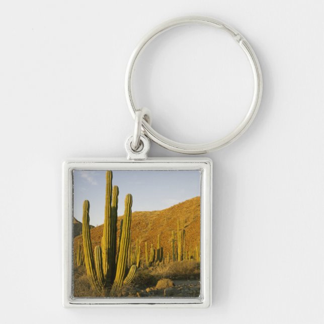 Mexico, Baja, Santa Catalina Island, Sea of Key Ring (Front)