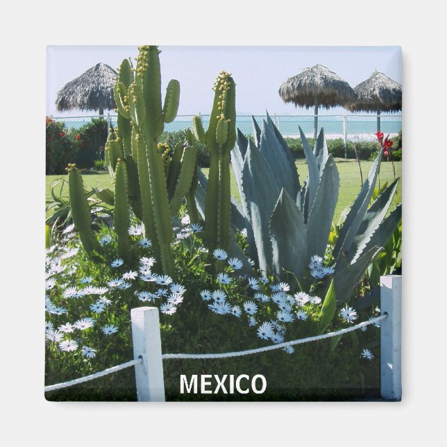 MEXICO CACTI MAGNET (Front)