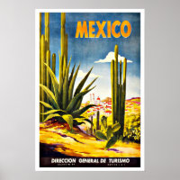 Mexico Cactus Vintage Travel