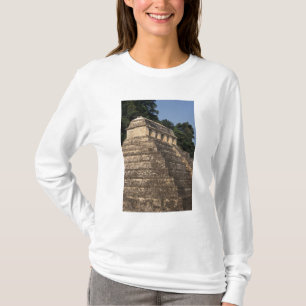 Mexico, Chiapas province, Palenque. Temple of 2 T-Shirt