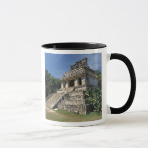 Mexico, Chiapas province, Palenque. Temple of Mug