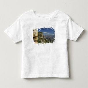 Mexico, Chihuahua, Copper Canyon. View from Toddler T-Shirt