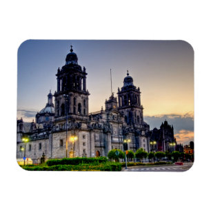 Mexico City Cathedral Magnet