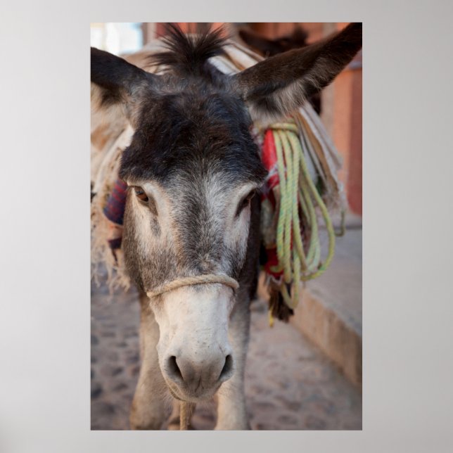 Mexico City, San Miguel De Allende Poster (Front)