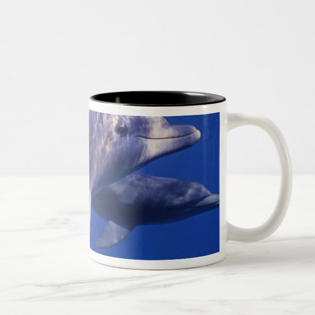 Mexico, Cozumel. Bottlenosed Dolphin, Tursiops 2 Two-Tone Coffee Mug (Right)