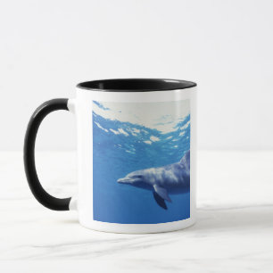 Mexico, Cozumel. Bottlenosed Dolphin, Tursiops 3 Mug