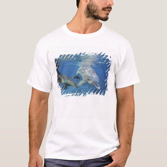 Mexico, Cozumel. Bottlenosed Dolphin, Tursiops 5 T-Shirt (Front)