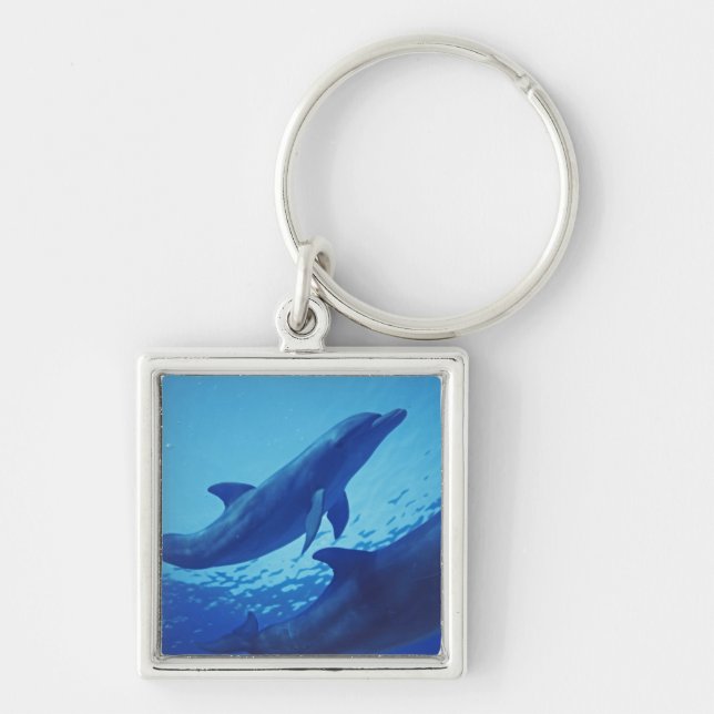 Mexico, Cozumel. Bottlenosed Dolphin, Tursiops Key Ring (Front)