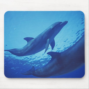 Mexico, Cozumel. Bottlenosed Dolphin, Tursiops Mouse Mat