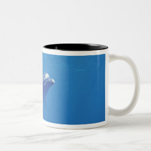 Mexico, Cozumel. Bottlenosed Dolphin Two-Tone Coffee Mug