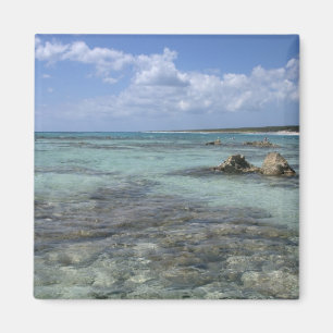 Mexico, Cozumel, Punta Morena, the east coast 2 Magnet