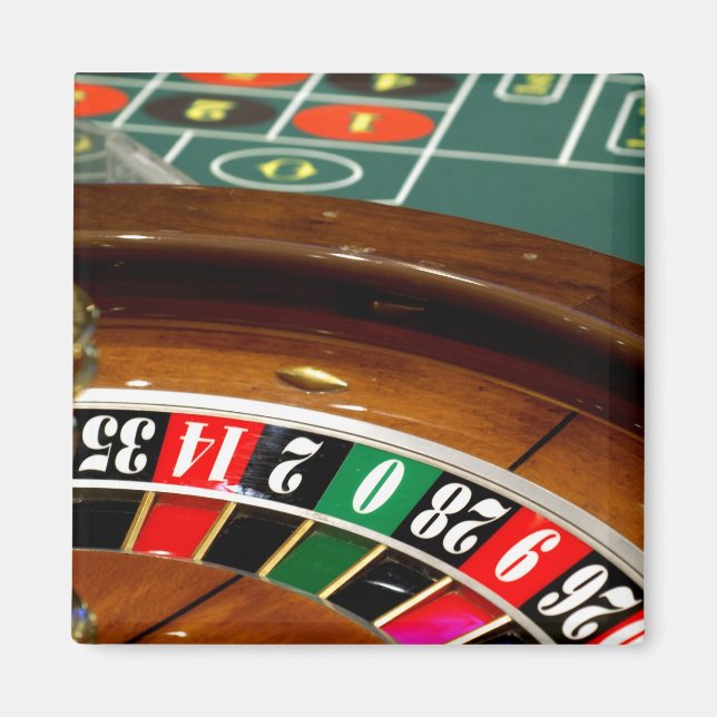 Mexico cruise. Princess Cruises Dawn Princess 2 Magnet (Front)