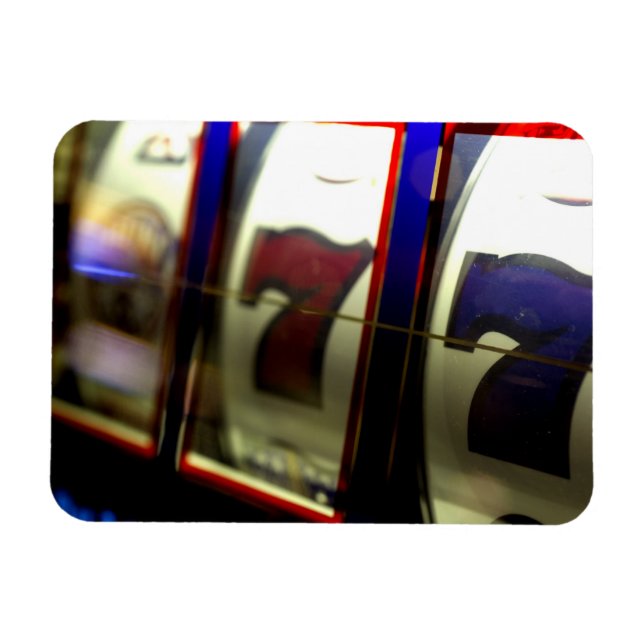 Mexico cruise. Princess Cruises Dawn Princess 3 Magnet (Horizontal)