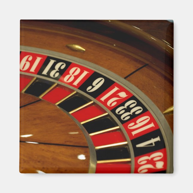 Mexico cruise. Princess Cruises Dawn Princess 5 Magnet (Front)