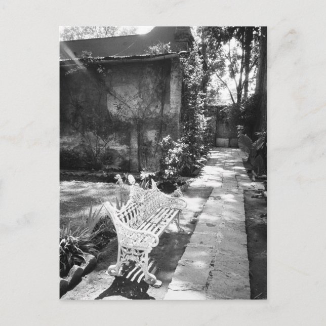 MEXICO, D.F., Mexico City, COYOACAN: Bench at Postcard (Front)
