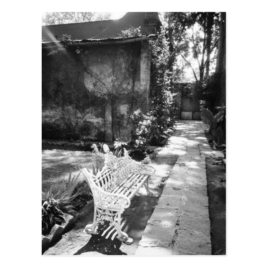MEXICO, D.F., Mexico City, COYOACAN: Bench at Postcard