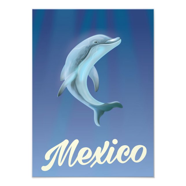 Mexico Dolphin Travel poster (Front)