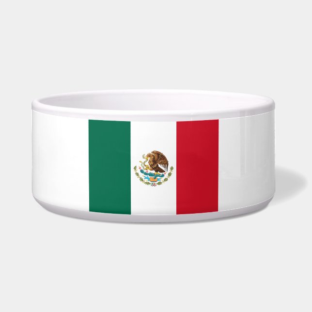 Mexico Flag, Bandera de Mexican Republic (Front)