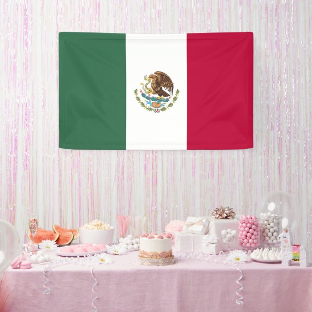 Mexico flag banner (Party)