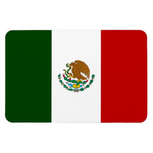 Mexico flag magnet