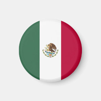 Mexico flag magnet