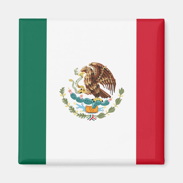 Mexico Flag Magnet 2 (Front)