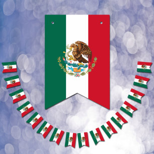 Mexico Flag & Party Mexican Banners / Weddings