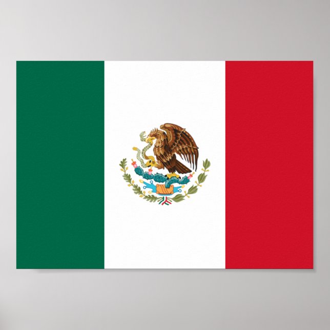 Mexico Flag Poster (Front)