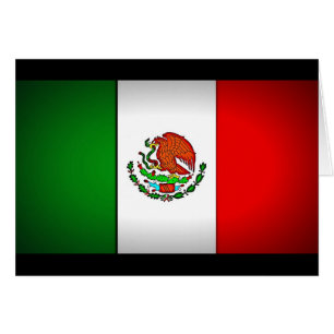 Mexico Flag Stylised