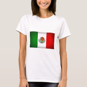Mexico Flag Stylised T-Shirt