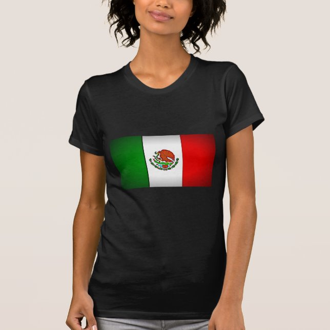 Mexico Flag Stylised T-Shirt (Front)