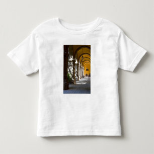 Mexico, Guanajuato state, San Miguel de Allende. Toddler T-Shirt