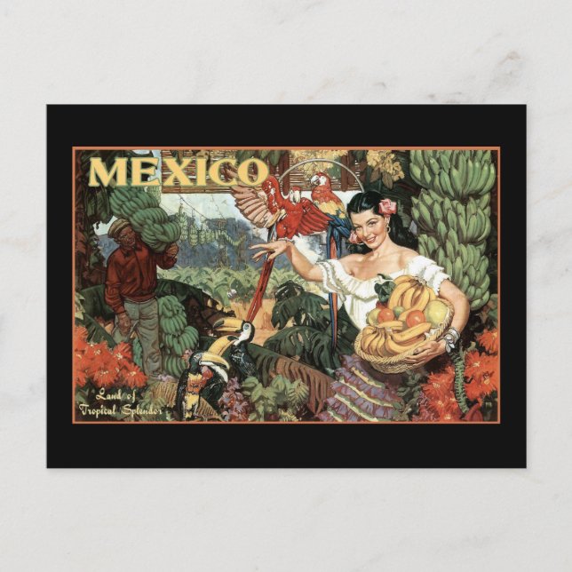 mexico land of tropical splendor postcard (Front)