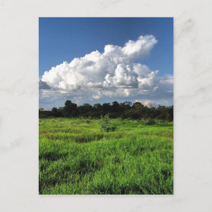 #mexico #losaltos #jalisco postcard