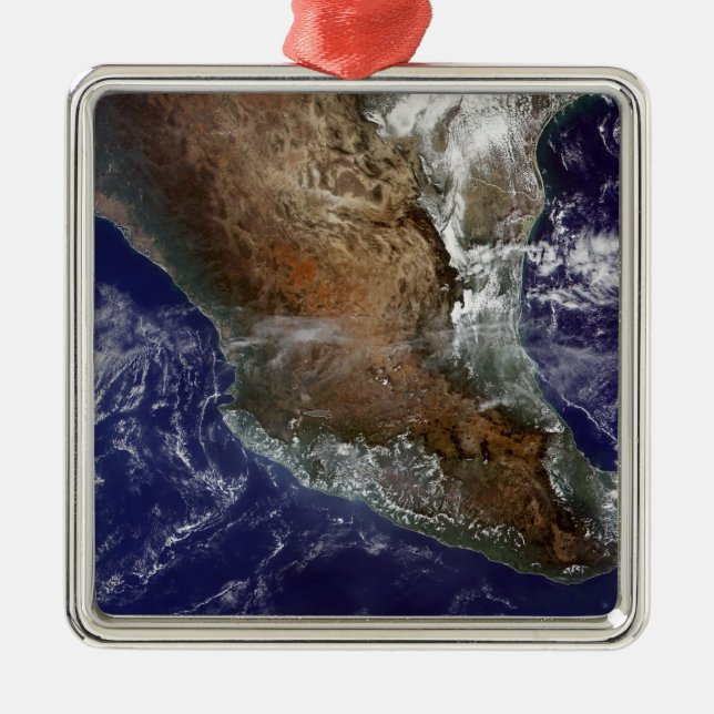 Mexico Metal Tree Decoration (Front)
