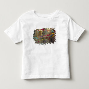 Mexico, Oaxaca, Templo de San Felipe de Neri Toddler T-Shirt
