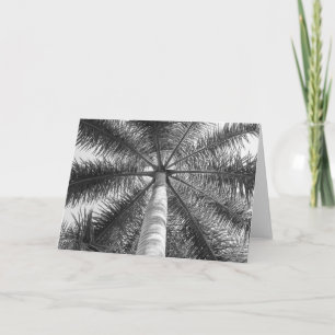 Mexico Palm Tree Shade Card