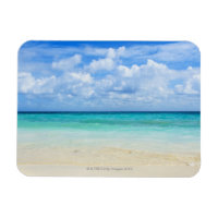 Mexico, Playa Del Carmen, tropical beach