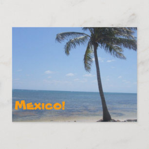 Mexico Postcard