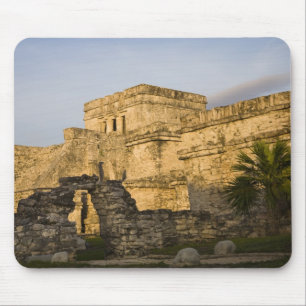 Mexico, Quintana Roo, Yucatan Peninsula, Mouse Mat