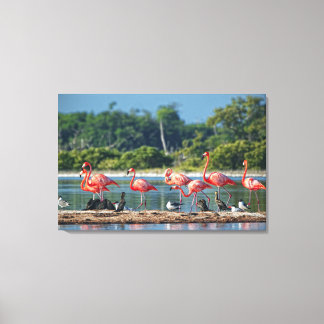 Mexico Rio Lagartos Canvas Print