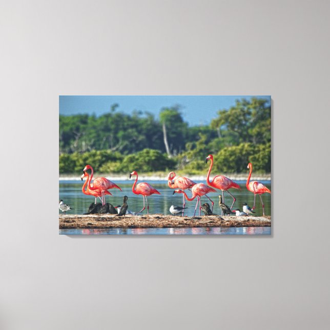 Mexico Rio Lagartos Canvas Print (Front)