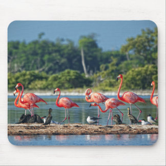 Mexico Rio Lagartos Mouse Mat