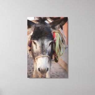 Mexico, San Miguel De Allende 2 Canvas Print